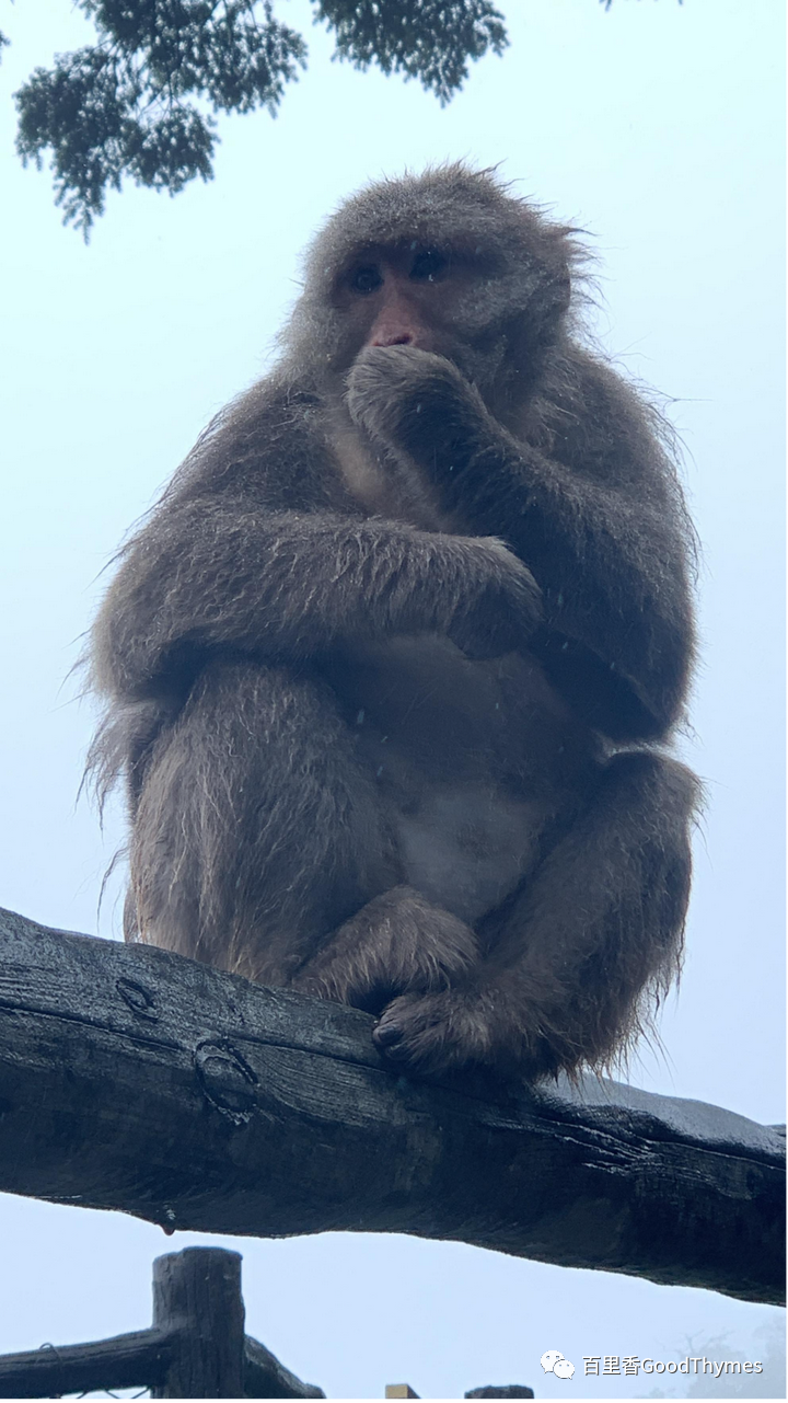 旅行攻略武夷山_攻略旅游武夷山路线_武夷山两日旅游攻略