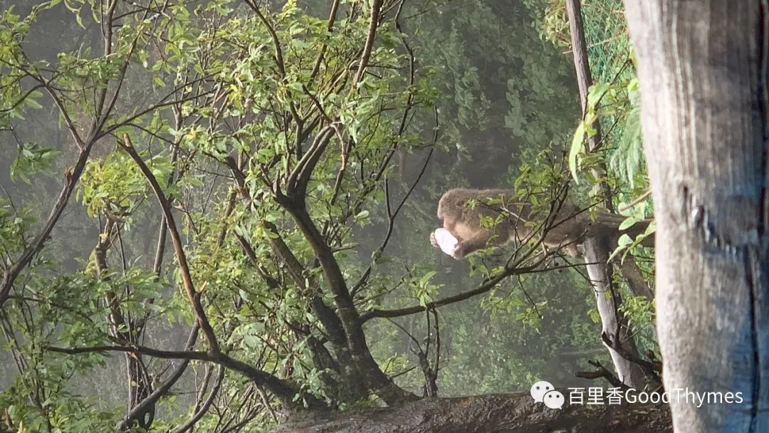 武夷山两日旅游攻略_旅行攻略武夷山_攻略旅游武夷山路线