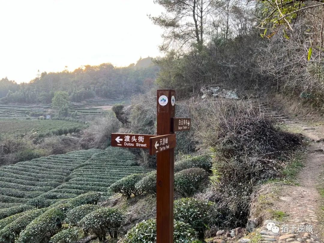 攻略旅游武夷山路线_武夷山旅游攻略1日游_武夷山两日旅游攻略