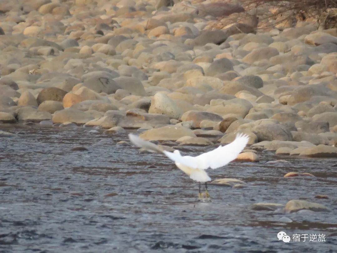武夷山旅游攻略1日游_攻略旅游武夷山路线_武夷山两日旅游攻略