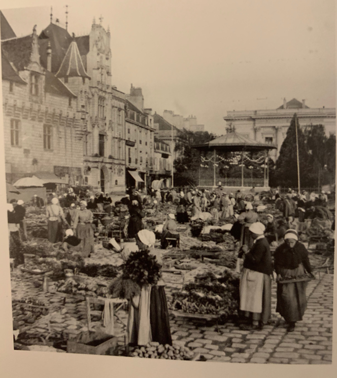 时尚女士马裤-女款马裤(图7) 时尚女士马裤_女款马裤_女士时尚马裤品牌