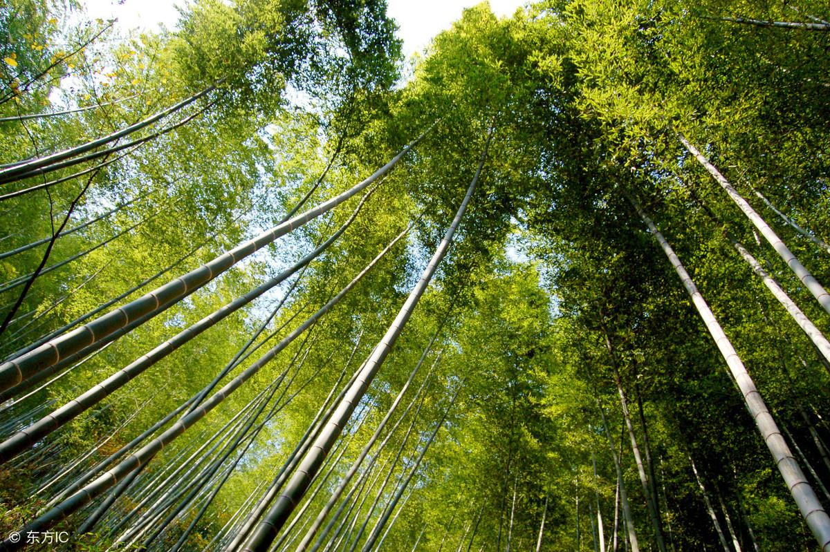 安徽泾县旅游攻略-安徽泾县的旅游景点(图3) 去安徽泾县旅游攻略_安徽泾县旅游攻略_安徽泾县的旅游景点