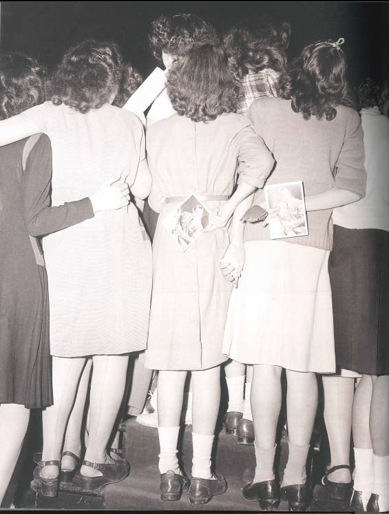 时尚女士马裤-女款马裤(图26) 时尚女士马裤_女款马裤_女士时尚马裤图片