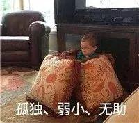 梅州雁鸣湖旅游攻略-梅州雁鸣湖度假村酒店(图2) 梅州雁鸣湖度假村酒店_梅州雁鸣湖旅游攻略_广东梅州雁鸣湖旅游度假村