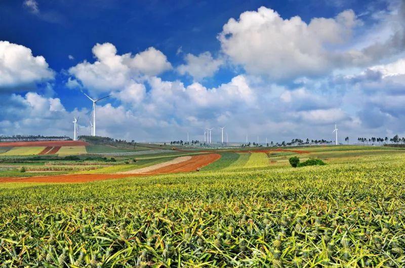 梅州雁鸣湖旅游攻略-梅州雁鸣湖度假村酒店(图20) 广东梅州雁鸣湖旅游度假村_梅州雁鸣湖旅游攻略_梅州雁鸣湖度假村酒店