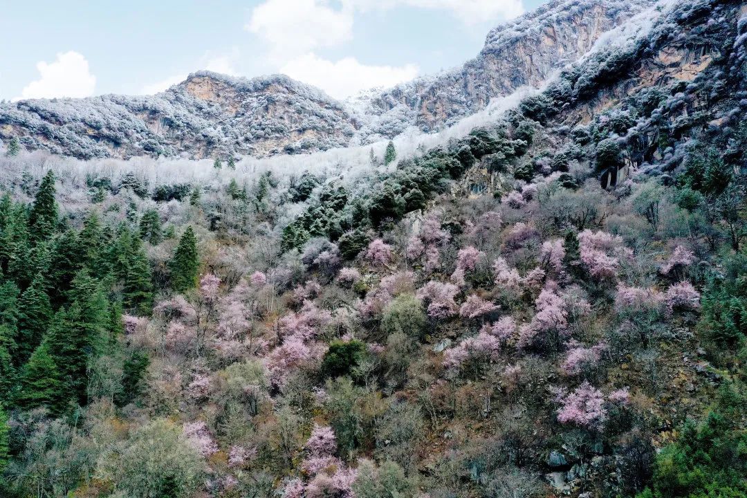 黑水旅游攻略-黑水旅游景点哪里好玩(图8) 黑水旅游景点哪里好玩_攻略黑水旅游路线_黑水旅游攻略