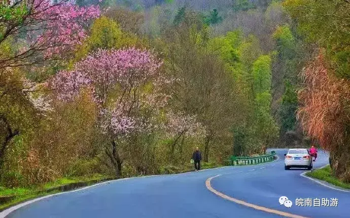 安徽泾县旅游攻略-安微泾县旅游景点大全(图3) 安徽攻略旅游泾县最新消息_安徽泾县旅游攻略_安微泾县旅游景点大全