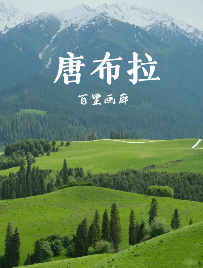 塔克拉玛干沙漠攻略游记_塔克拉玛干沙漠旅游景点攻略_塔克拉玛干沙漠旅游攻略