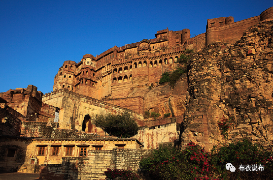 时尚女士马裤-女士时尚马裤图片(图4) 女款马裤_时尚女士马裤_女士时尚马裤图片