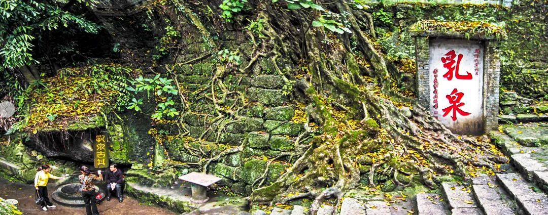 广西桂平西山旅游攻略_广西桂平西山风景区门票多少钱_广西桂平市西山风景区门票