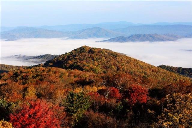 梅州雁鸣湖旅游攻略-广东梅州雁鸣湖旅游度假村(图2) 梅州雁鸣湖景区门票价格_梅州雁鸣湖旅游攻略_广东梅州雁鸣湖旅游度假村