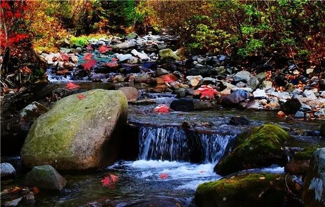 梅州雁鸣湖旅游攻略-广东梅州雁鸣湖旅游度假村(图4) 梅州雁鸣湖旅游攻略_梅州雁鸣湖景区门票价格_广东梅州雁鸣湖旅游度假村