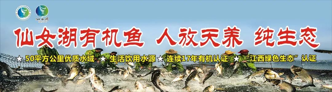 仙女湖最佳旅游攻略-仙女湖功略(图4) 仙女湖最佳旅游攻略_仙女湖功略_仙女湖自驾游攻略