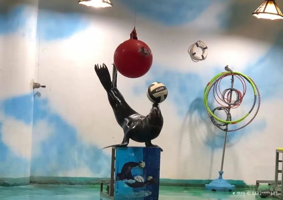 乌镇旅游攻略住宿-乌镇旅游住宿类型(图34) 乌镇旅游攻略住宿_乌镇旅游住宿类型_乌镇景区住宿