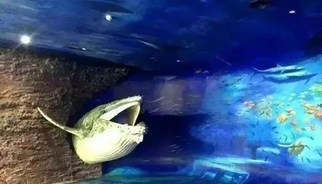 北金时尚购物广场-北广场金融街完工时间(图9) 北金时尚购物广场_北广场金融街完工时间_北广场金融街项目规划