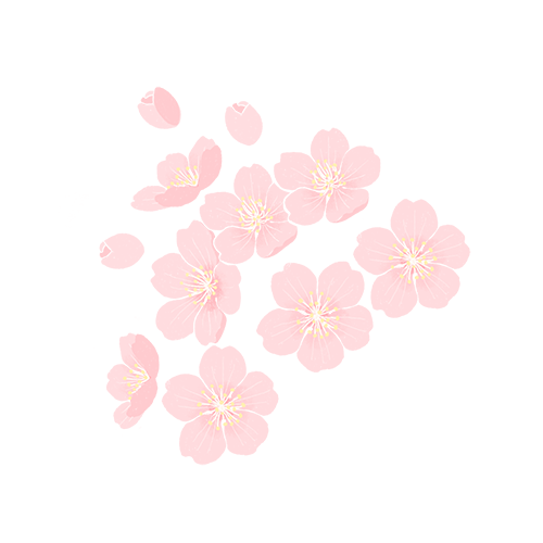 乌镇景区住宿_乌镇旅游攻略住宿_乌镇旅游住宿类型