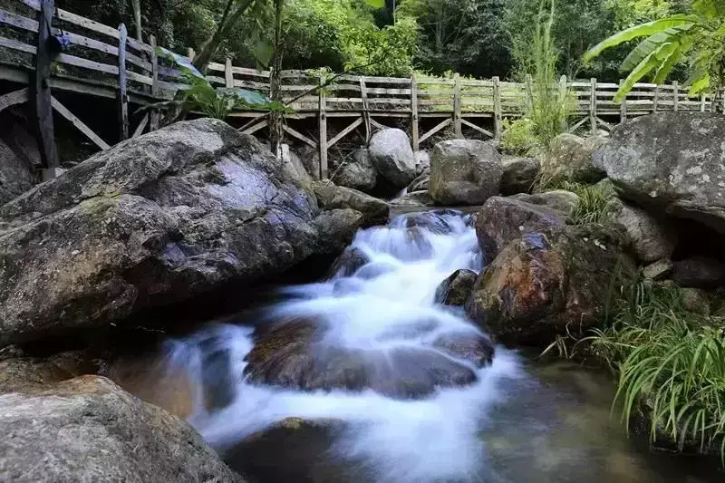 梅州雁鸣湖旅游度假村官方网站_梅州雁鸣湖景区图片_梅州雁鸣湖旅游攻略