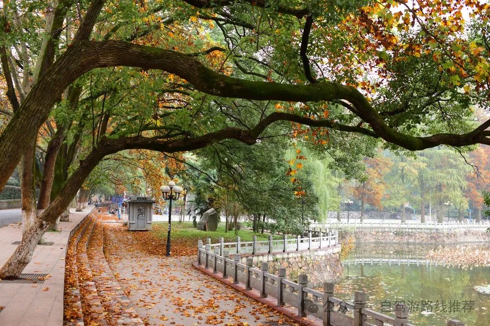 武汉3日游攻略_武汉旅游攻略三日游_三日攻略武汉旅游游玩