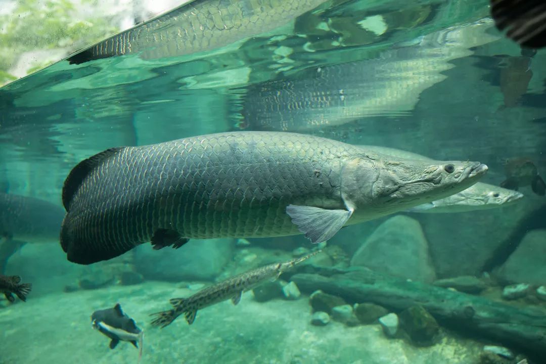 天柱山天气旅游攻略-天柱山风景天气(图17) 天柱山风景天气_天柱山天气旅游攻略_天气攻略天柱旅游山庄