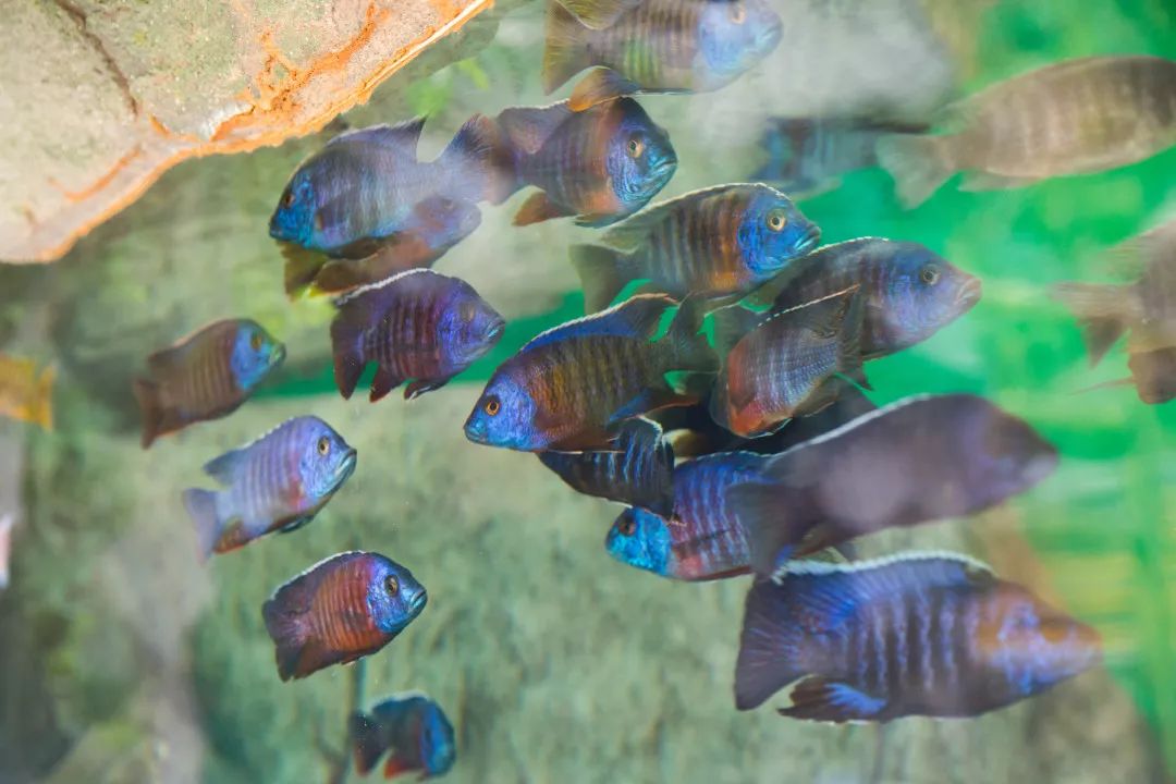 天柱山天气旅游攻略-天柱山风景天气(图18) 天气攻略天柱旅游山庄_天柱山天气旅游攻略_天柱山风景天气