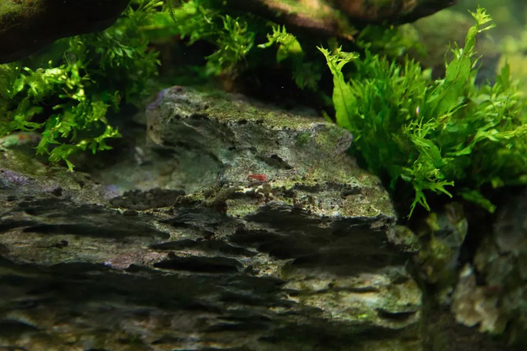 天柱山天气旅游攻略-天柱山风景天气(图19) 天柱山天气旅游攻略_天柱山风景天气_天气攻略天柱旅游山庄