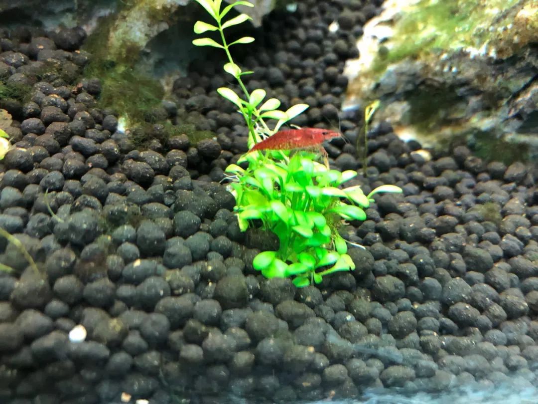 天柱山天气旅游攻略-天柱山风景天气(图20) 天柱山风景天气_天气攻略天柱旅游山庄_天柱山天气旅游攻略