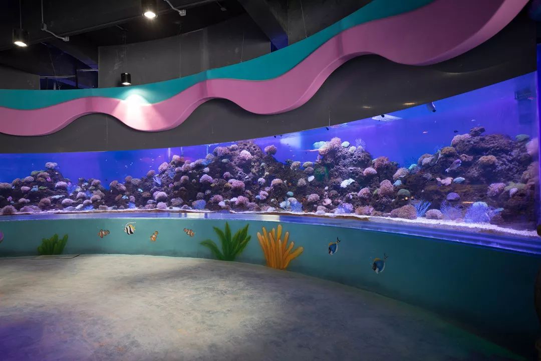 天柱山天气旅游攻略-天柱山风景天气(图23) 天气攻略天柱旅游山庄_天柱山天气旅游攻略_天柱山风景天气