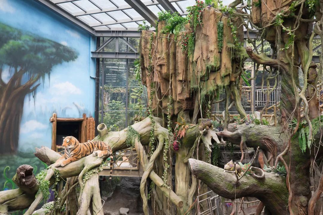 天柱山天气旅游攻略-天柱山风景天气(图33) 天柱山天气旅游攻略_天柱山风景天气_天气攻略天柱旅游山庄