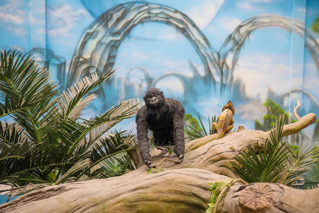 天柱山天气旅游攻略-天柱山风景天气(图34) 天柱山风景天气_天柱山天气旅游攻略_天气攻略天柱旅游山庄