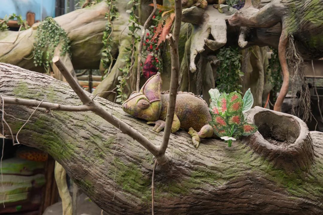 天柱山天气旅游攻略-天柱山风景天气(图35) 天气攻略天柱旅游山庄_天柱山天气旅游攻略_天柱山风景天气