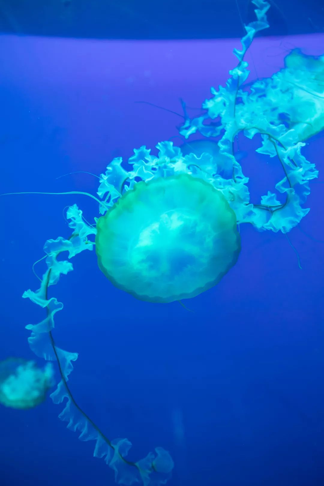 天柱山天气旅游攻略-天柱山风景天气(图38) 天柱山天气旅游攻略_天柱山风景天气_天气攻略天柱旅游山庄