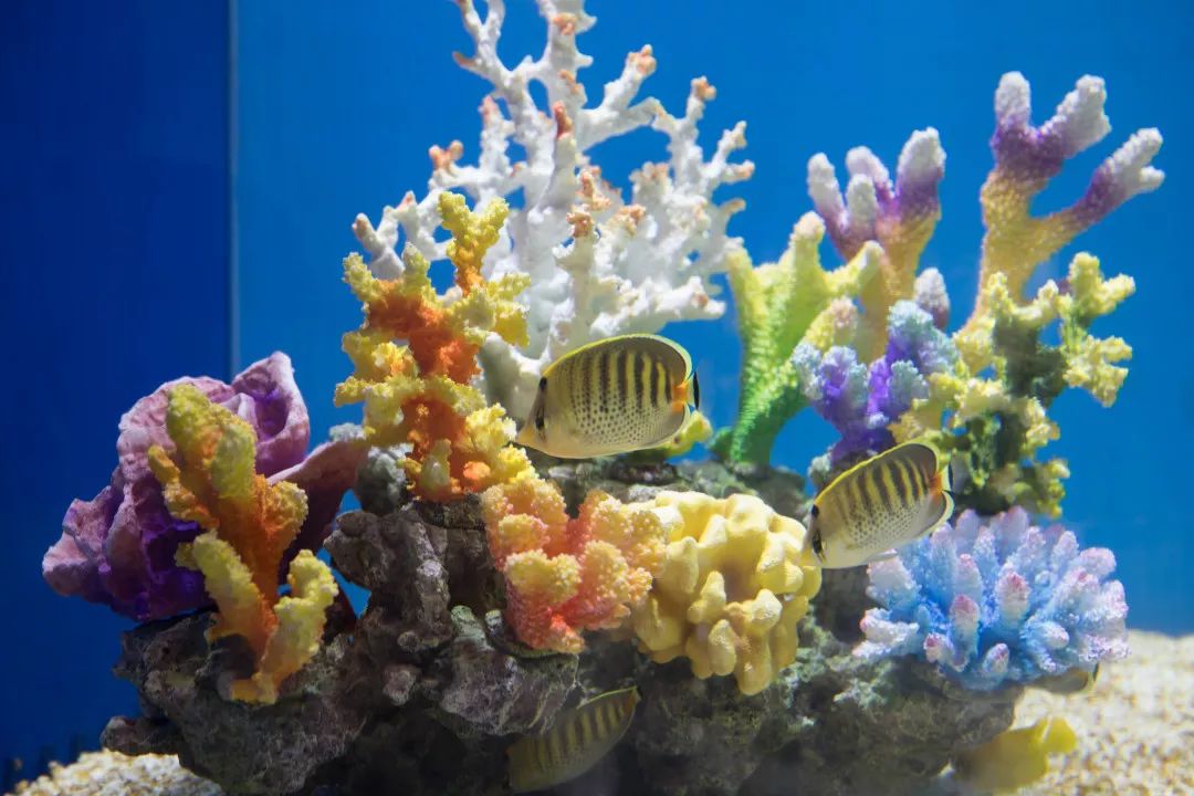 天柱山天气旅游攻略-天柱山风景天气(图39) 天柱山风景天气_天柱山天气旅游攻略_天气攻略天柱旅游山庄