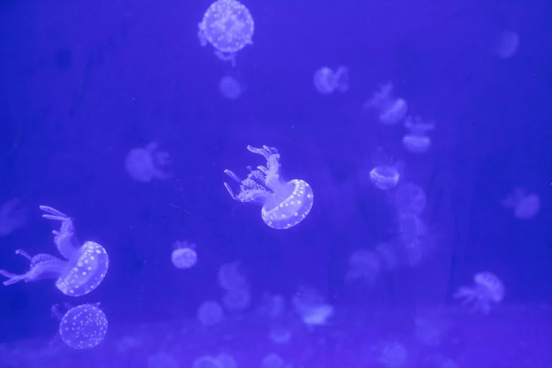 天柱山天气旅游攻略-天柱山风景天气(图40) 天气攻略天柱旅游山庄_天柱山天气旅游攻略_天柱山风景天气