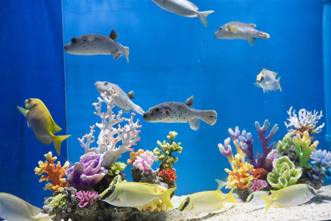 天柱山天气旅游攻略-天柱山风景天气(图41) 天气攻略天柱旅游山庄_天柱山风景天气_天柱山天气旅游攻略