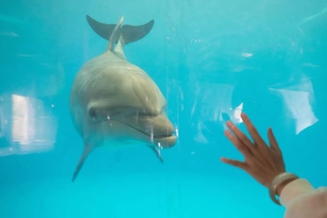 天柱山天气旅游攻略-天柱山风景天气(图44) 天气攻略天柱旅游山庄_天柱山天气旅游攻略_天柱山风景天气