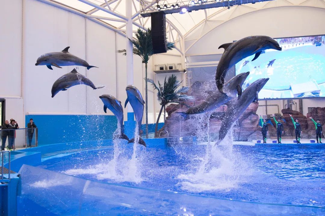 天柱山天气旅游攻略-天柱山风景天气(图45) 天柱山风景天气_天气攻略天柱旅游山庄_天柱山天气旅游攻略