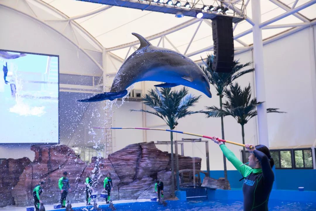 天柱山天气旅游攻略-天柱山风景天气(图46) 天气攻略天柱旅游山庄_天柱山天气旅游攻略_天柱山风景天气