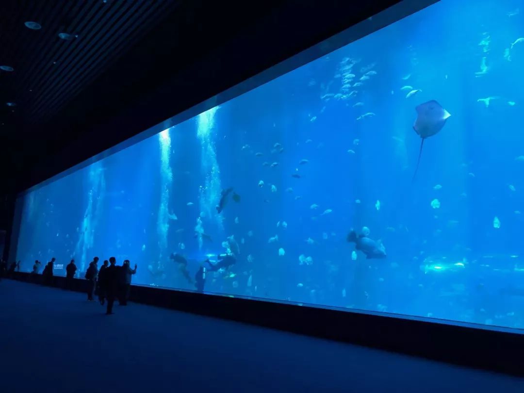 天柱山天气旅游攻略-天柱山风景天气(图49) 天柱山天气旅游攻略_天气攻略天柱旅游山庄_天柱山风景天气