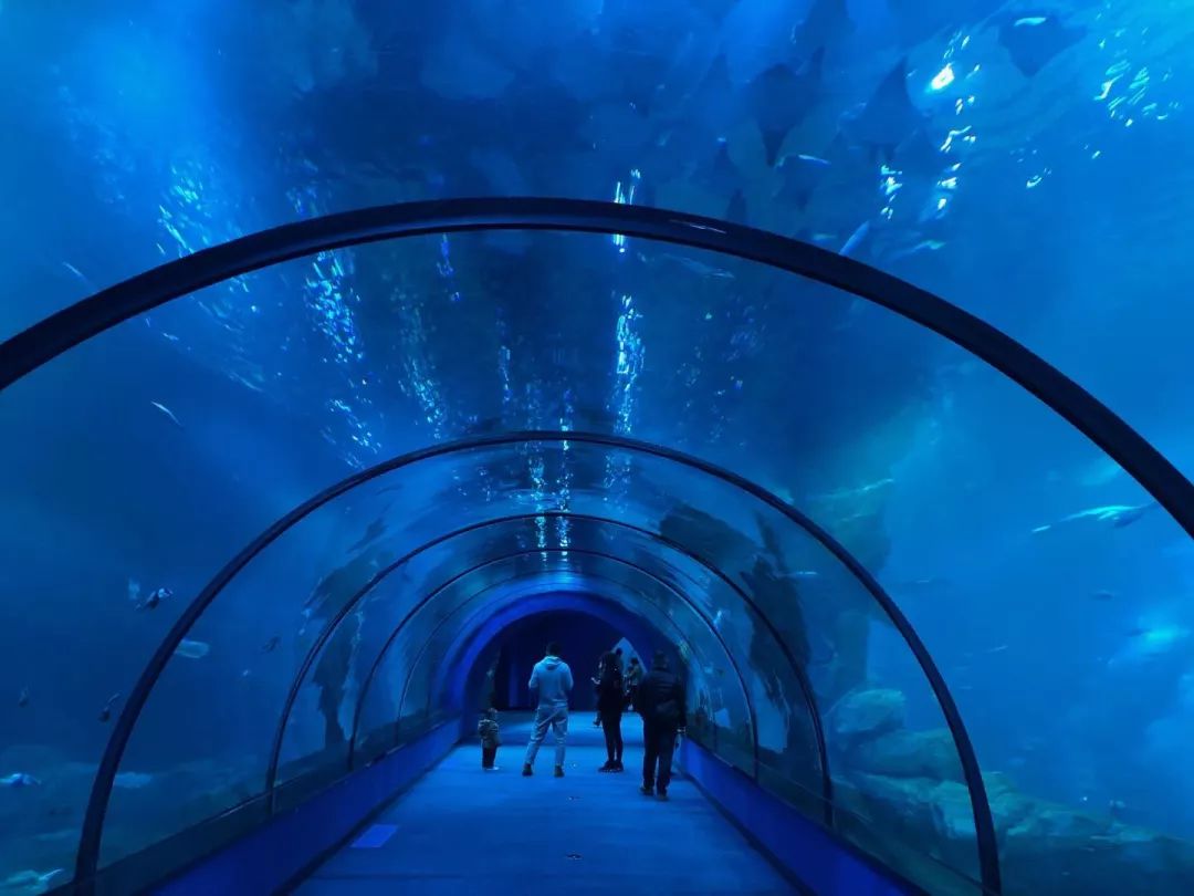 天柱山天气旅游攻略-天柱山风景天气(图51) 天柱山天气旅游攻略_天柱山风景天气_天气攻略天柱旅游山庄