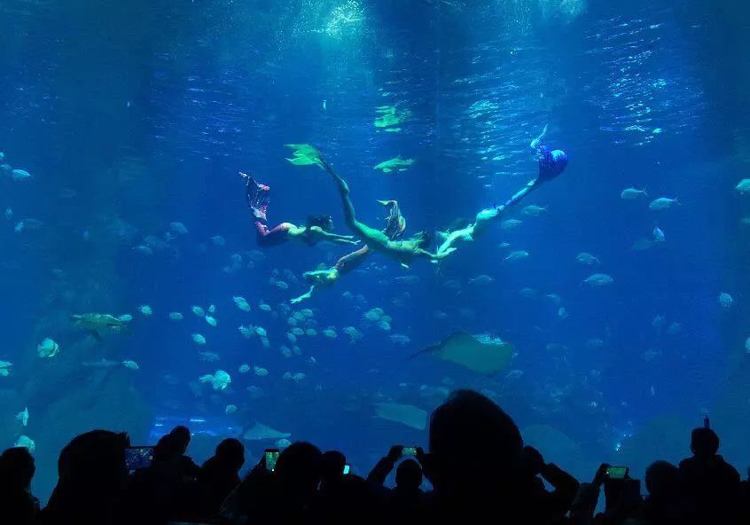 天柱山天气旅游攻略-天柱山风景天气(图52) 天柱山天气旅游攻略_天柱山风景天气_天气攻略天柱旅游山庄