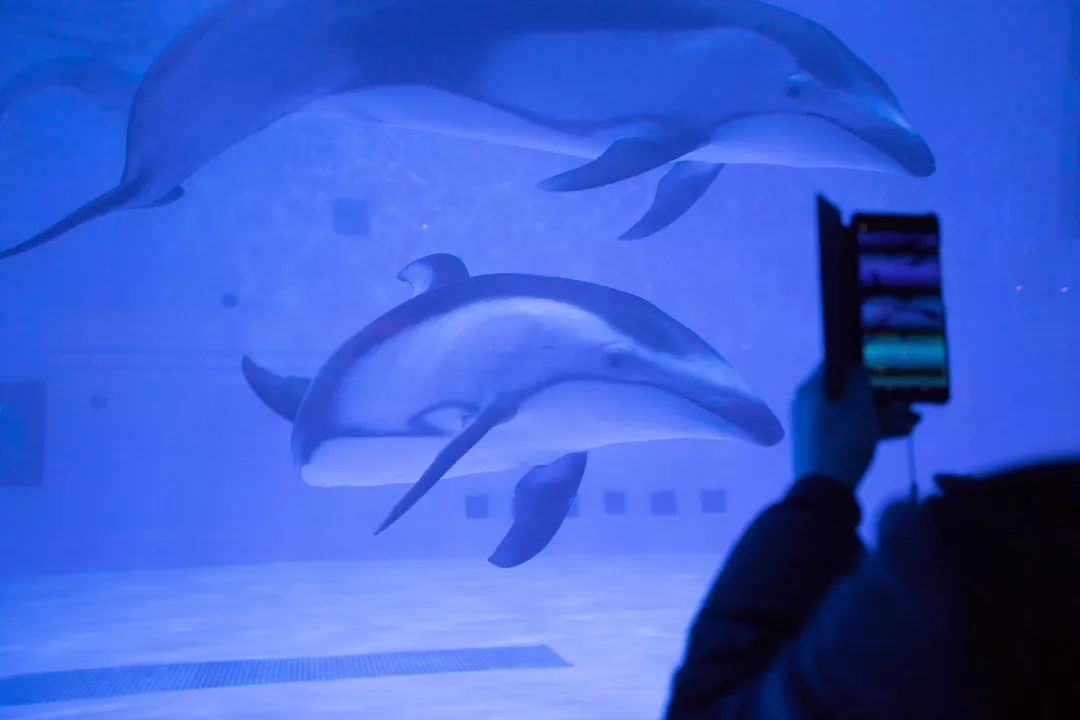 天柱山天气旅游攻略-天柱山风景天气(图53) 天气攻略天柱旅游山庄_天柱山风景天气_天柱山天气旅游攻略