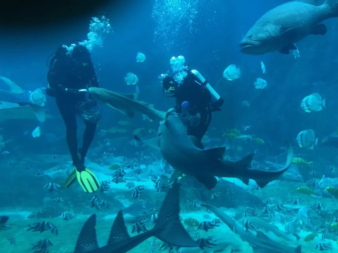 天柱山天气旅游攻略-天柱山风景天气(图54) 天柱山风景天气_天气攻略天柱旅游山庄_天柱山天气旅游攻略