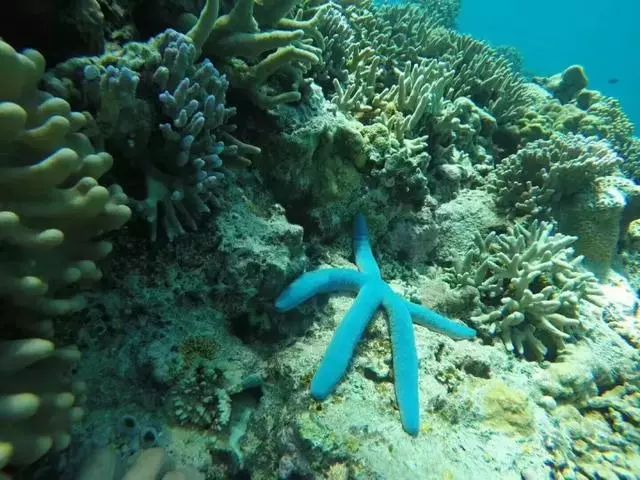 海南西沙群岛旅游攻略-海南群岛攻略西沙旅游(图11) 海南群岛攻略西沙旅游怎么样_海南群岛攻略西沙旅游_海南西沙群岛旅游攻略