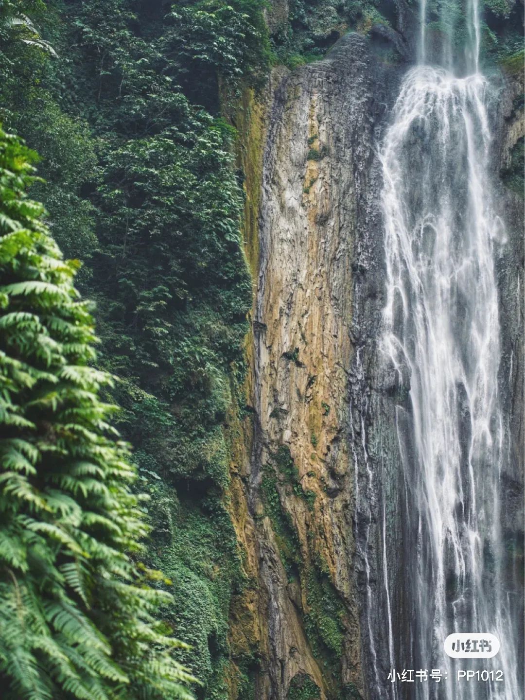 广西桂平西山旅游攻略-西山风景区桂平(图28) 西山风景区桂平_广西桂平西山风景区门票多少钱_广西桂平西山旅游攻略