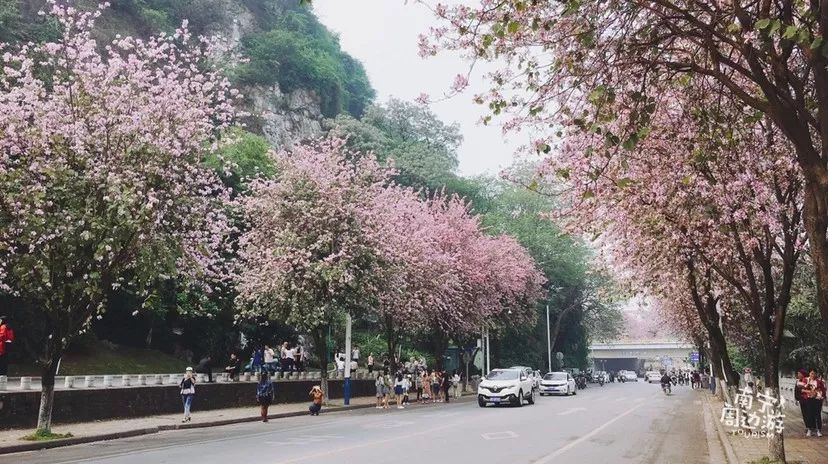 广西桂平西山旅游攻略-西山风景区桂平(图5) 广西桂平西山风景区门票多少钱_西山风景区桂平_广西桂平西山旅游攻略