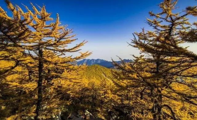 西安太白山旅游攻略-西安太白山一日游(图3) 西安太白山景区_西安太白山旅游攻略_西安太白山一日游