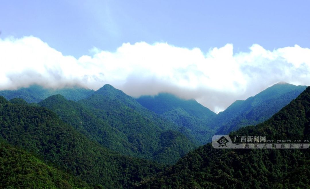广西桂平西山旅游攻略-广西桂平西山风景区门票多少钱(图7) 广西桂平西山风景区门票多少钱_广西桂平西山旅游攻略_广西桂平市西山风景区门票