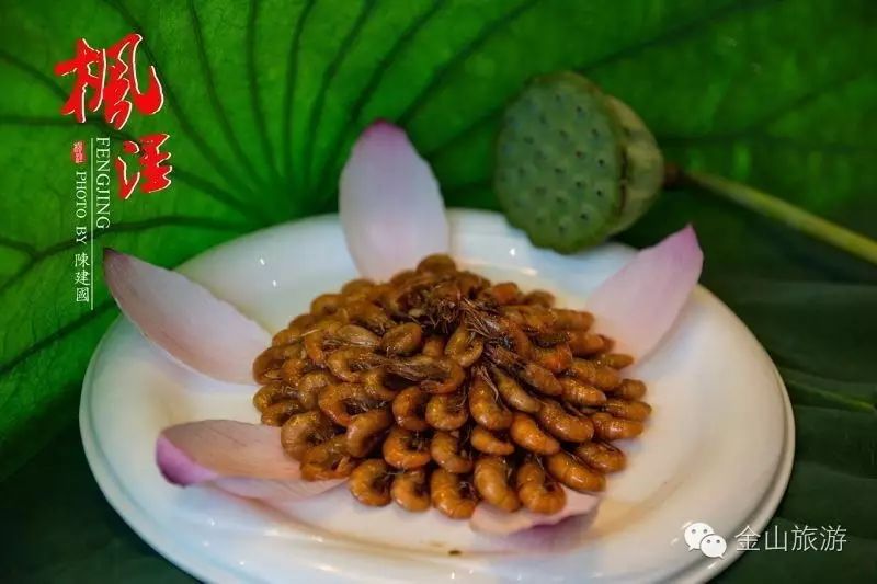 上海金山旅游攻略-上海金山旅游景点推荐(图12) 上海金山旅游景点大全排名_上海金山旅游景点推荐_上海金山旅游攻略