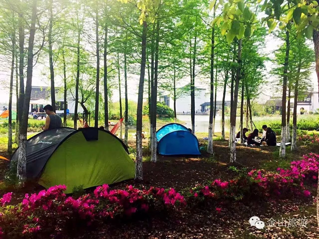 上海金山旅游攻略-上海金山旅游景点推荐(图26) 上海金山旅游攻略_上海金山旅游景点大全排名_上海金山旅游景点推荐