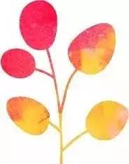 上海金山旅游攻略-上海金山旅游景点推荐(图4) 上海金山旅游景点推荐_上海金山旅游攻略_上海金山旅游景点大全排名